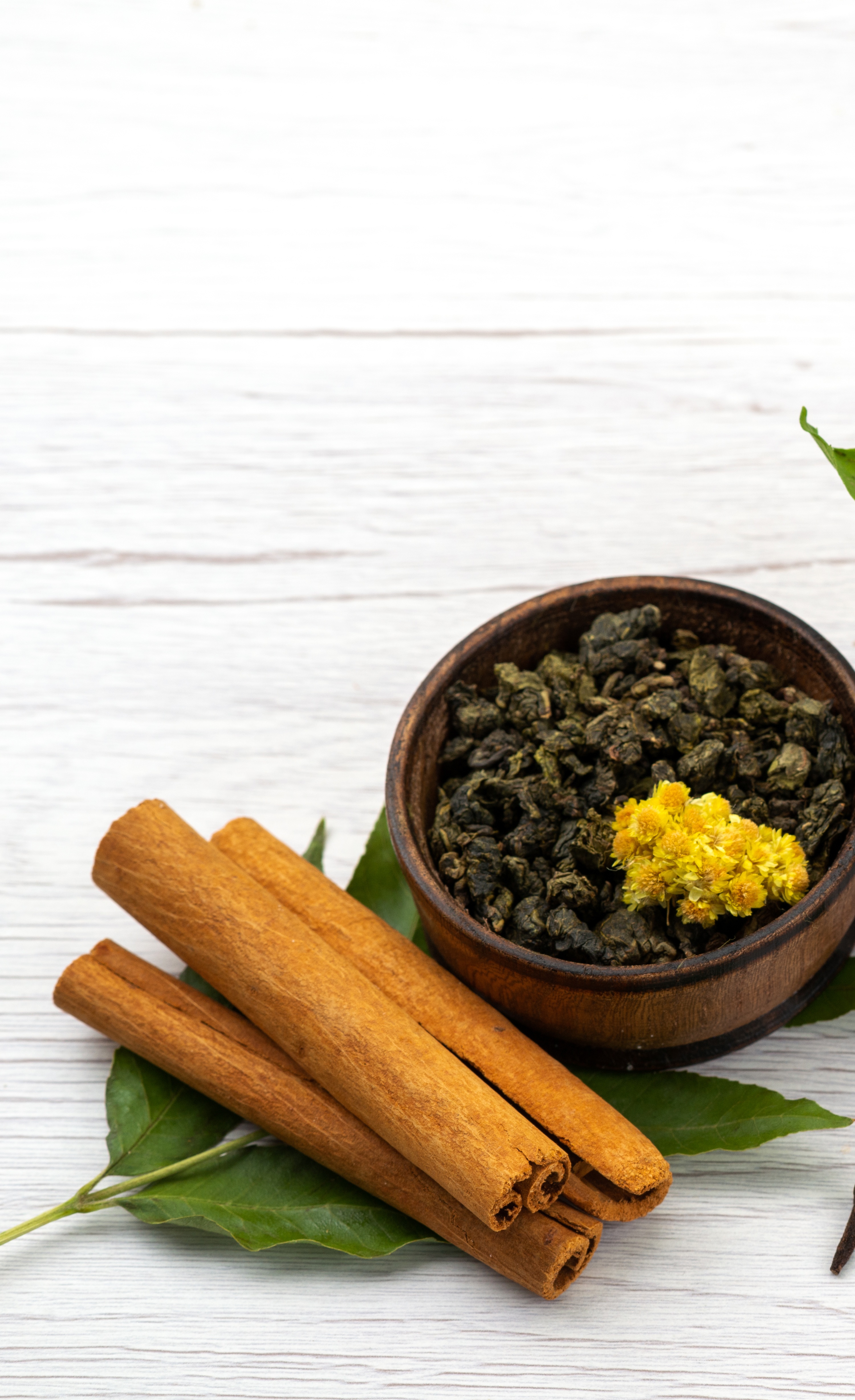 สมุนไพรไทยระ ดับโลก