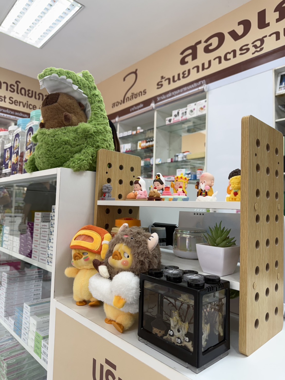 สองเภสัชกร พุทไธสง ภาพที่ 6